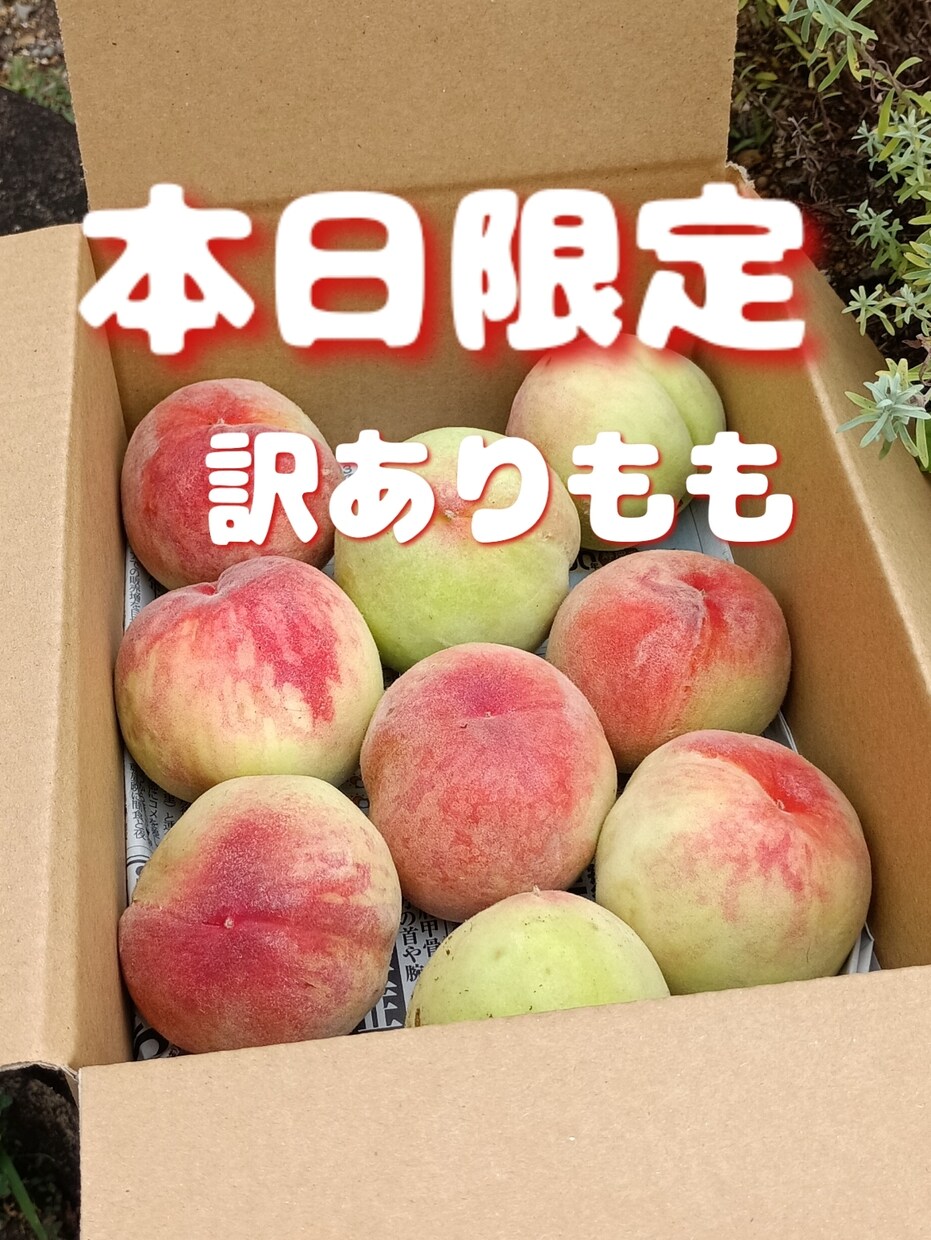 野菜　果物中心売れる文章作成します 50代おはちゃん農家さん向け 売れるメルカリ文章お作りします イメージ10