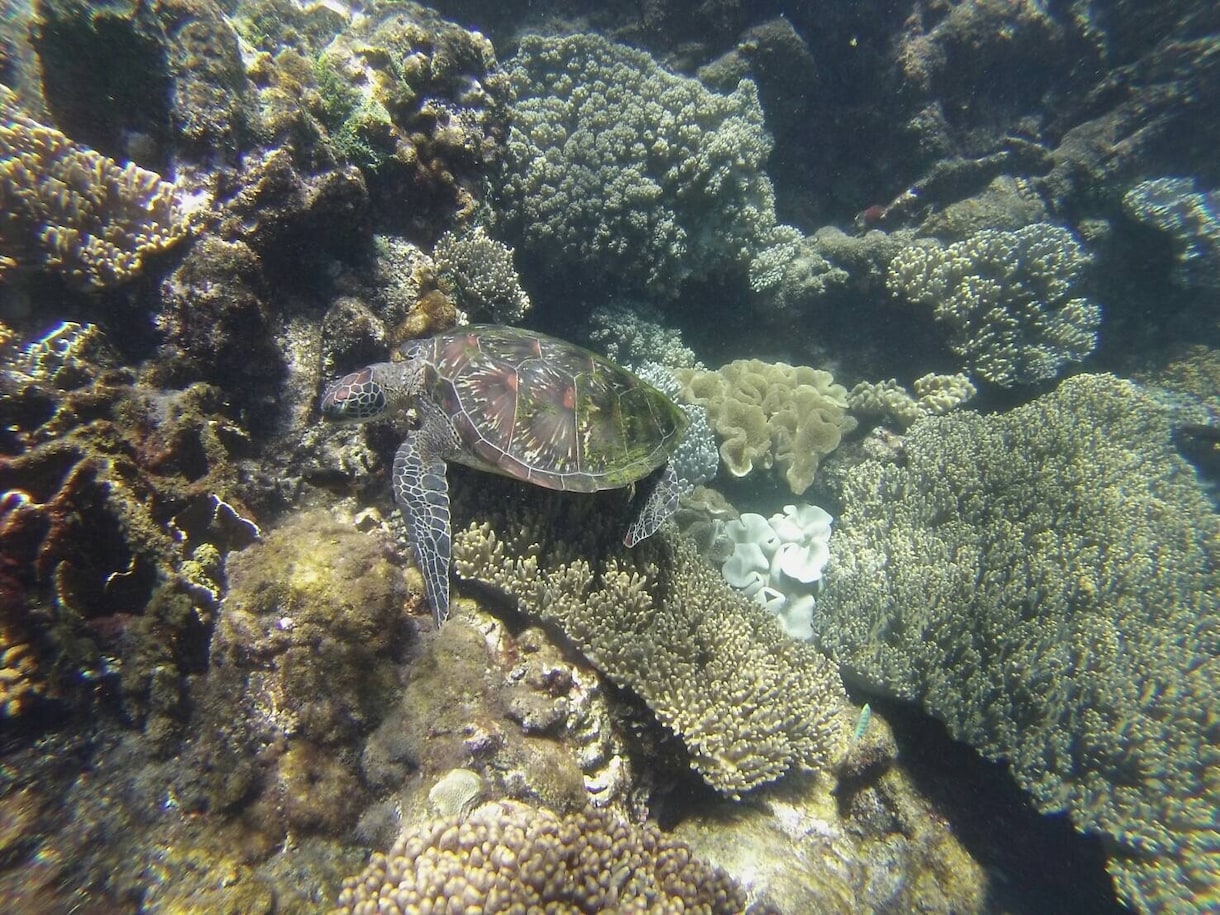 海外一人旅の相談に乗ります 初海外一人旅で270日間旅をした旅ブロガーが相談に乗ります！ イメージ9