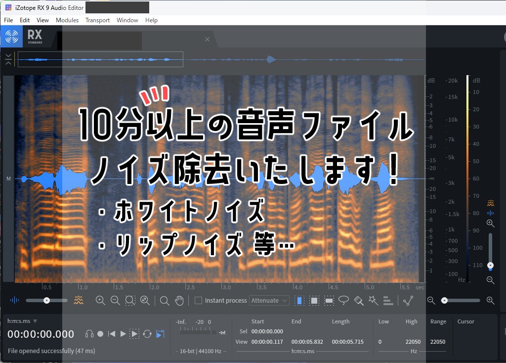 最低10分から！音声ファイルのノイズ除去いたします お手軽にホワイトノイズ・リップノイズ除去します！ イメージ1