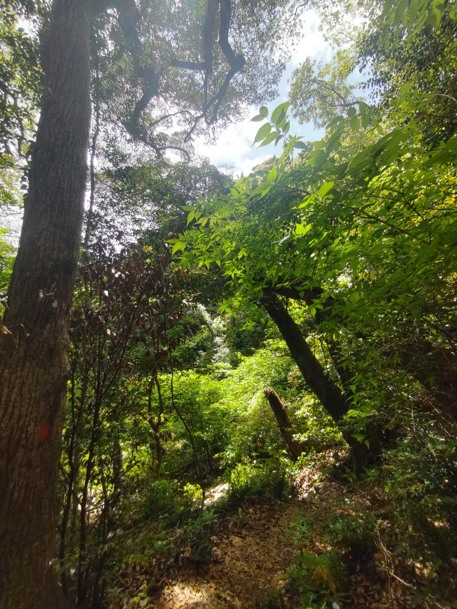 あなたのお悩みを傾聴します どんなお悩みでも大丈夫です。安心してお話ください イメージ1