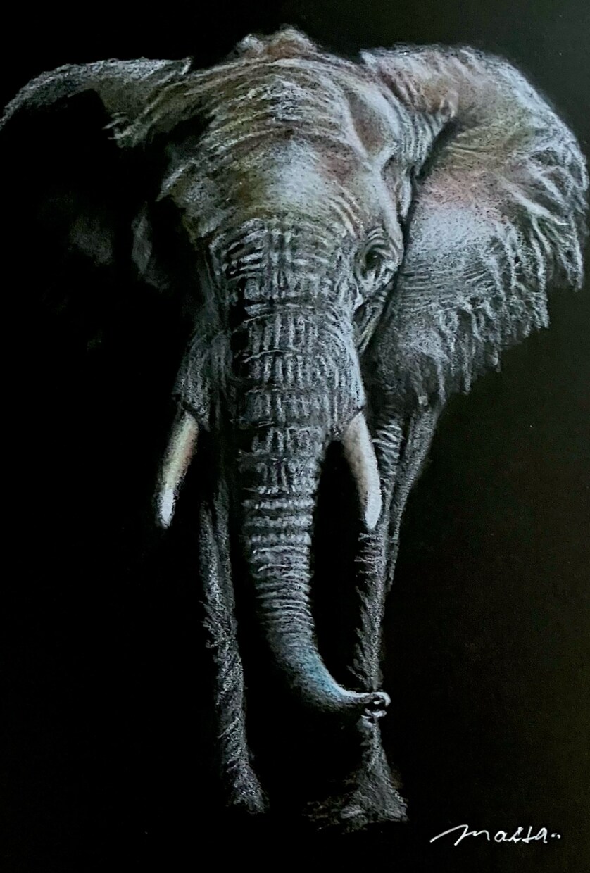 黒紙に色鉛筆でリアルな絵を描きます 他にはない黒紙に色鉛筆でリアルな質感で絵を描くアートです。 イメージ6