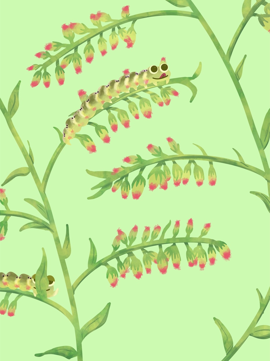 昆虫を中心とした可愛いイラスト描きます 昆虫以外もOK！可愛いアイコン作りませんか？ イメージ7