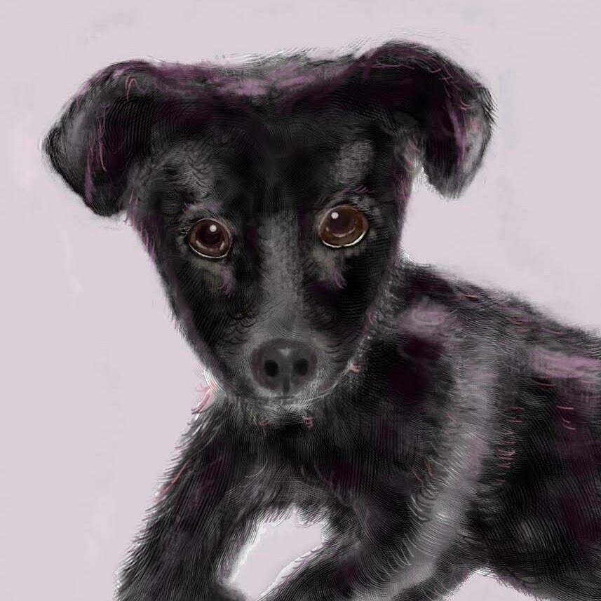 大切なワンちゃんのアートを水彩ペン使って描きます 思い出や性格のカラーを背景に反映させます♡デジタルアート！ イメージ5