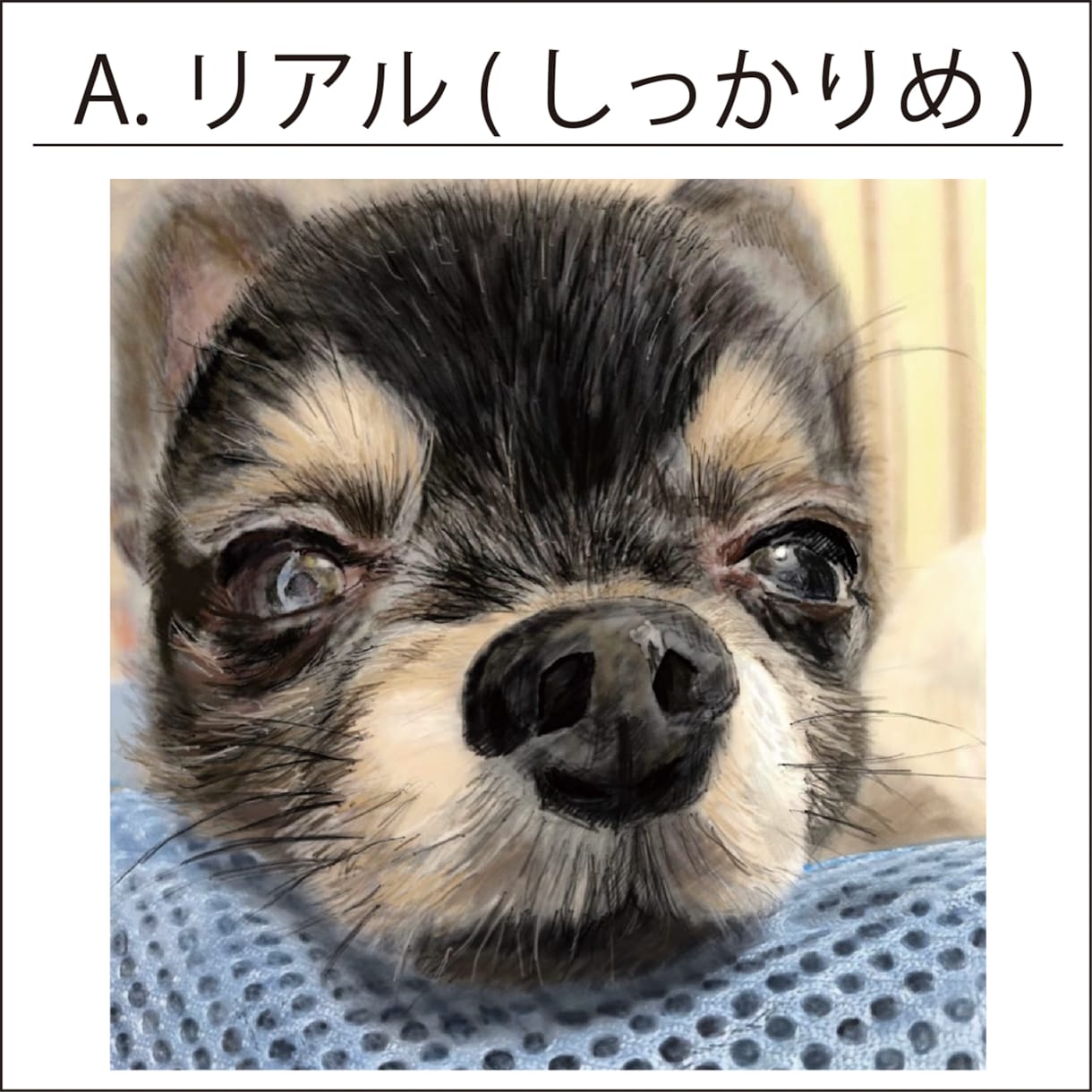 大切な家族の一員を思い出に残します リアルで可愛く描きます！緩やかな水彩画のテイストも可能です！ イメージ3