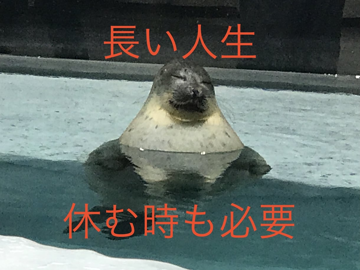 不登校･起立性調節障害･いじめ  解決策提案します 教師歴22年･我が子不登校経験有･メンタルトレーナー資格 イメージ5