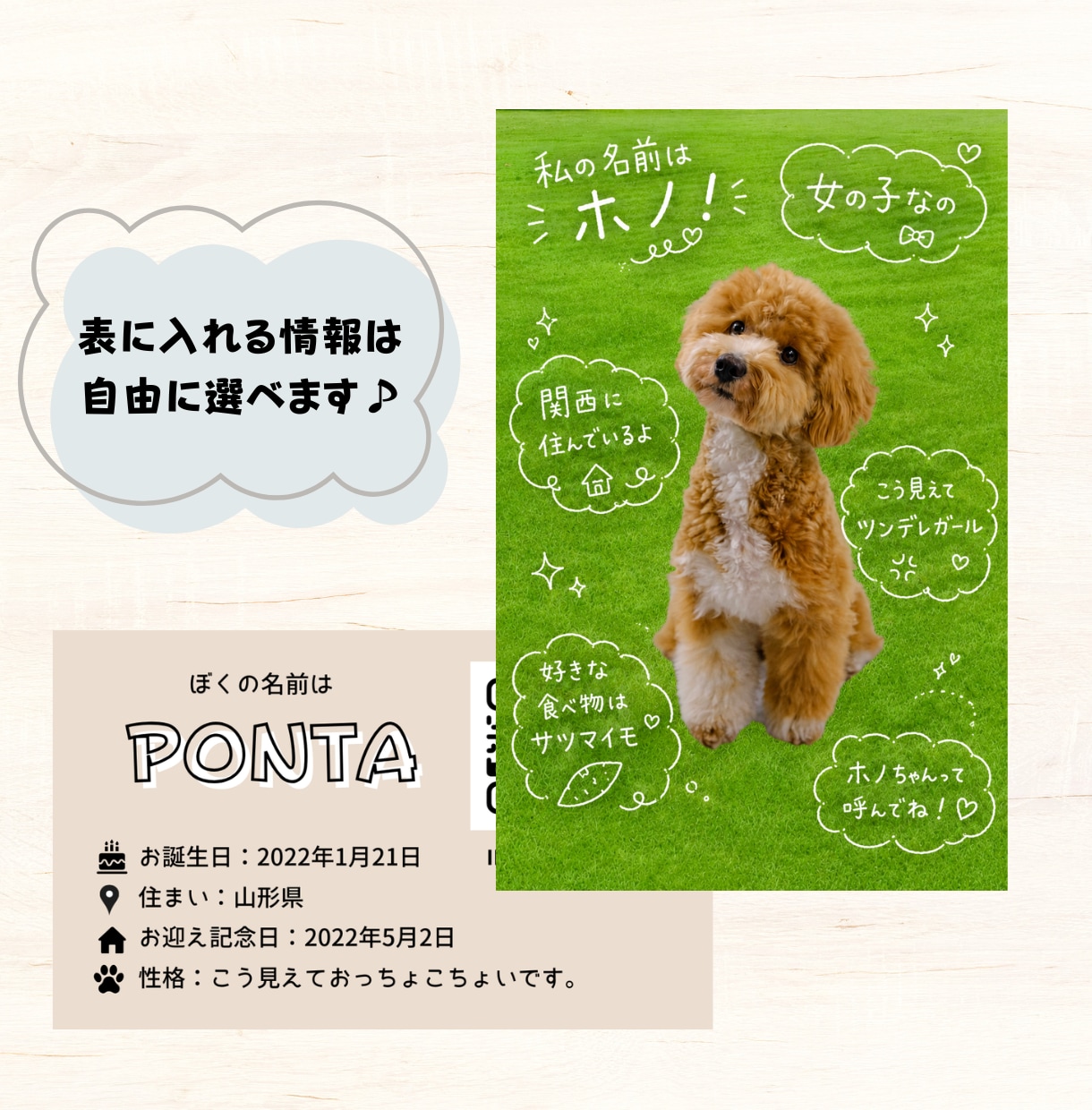 手書きトリセツ風うちの子名刺作ります スマホ写真OK！印刷代込100枚セミオーダーのペット名刺 イメージ2