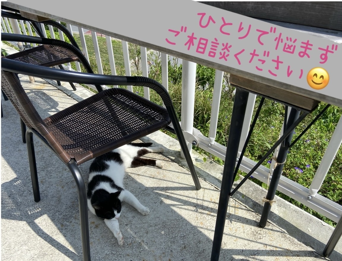 話してスッキリ！今頭から離れない悩みを解消します 仕事、対人関係、育児、恋愛、お金、それ以外もご相談ください！ イメージ1