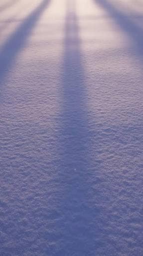 悩んでいませんか?陰キャからの脱出お助けします 元陰キャの私が、貴方の陽キャへのプロセスを導きます。 イメージ1