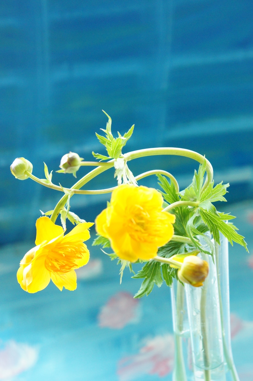 花から始まる運気アップの場づくりPDFを送ります 1月末日迄出品記念価格＊花を飾る場を整えて空間をキレイに イメージ2