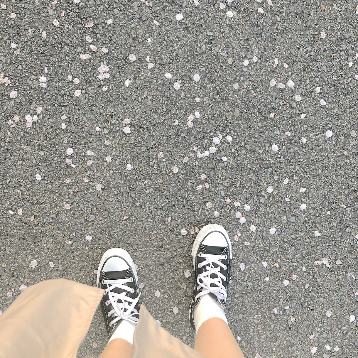 貴方だけの絶好の話し相手になります 宿り木に留まってゆっくりしてって下さい(*˘˘*) イメージ2