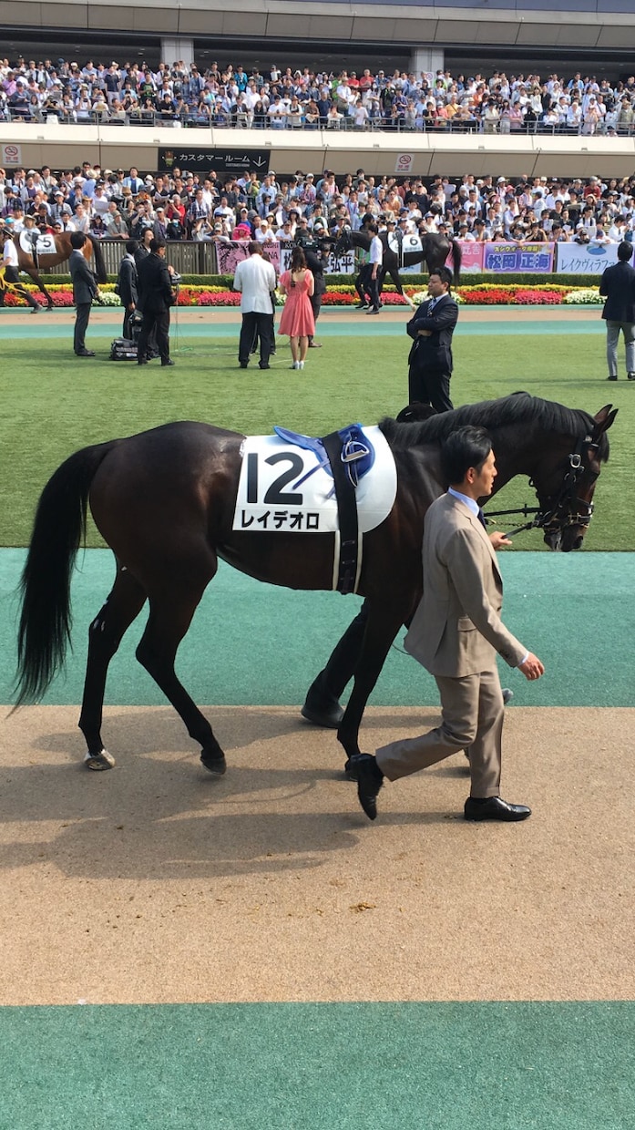 競馬教えます 無駄な買い方してませんか？プラス収支にしましょう！ イメージ5