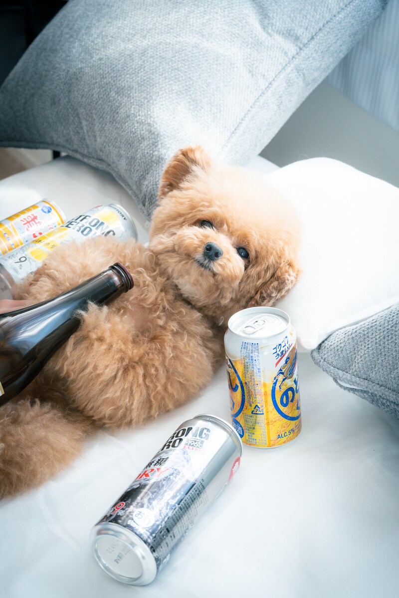 まったりお話しします サシ飲み気分でお話ししましょ♪1分からお試し歓迎 イメージ1