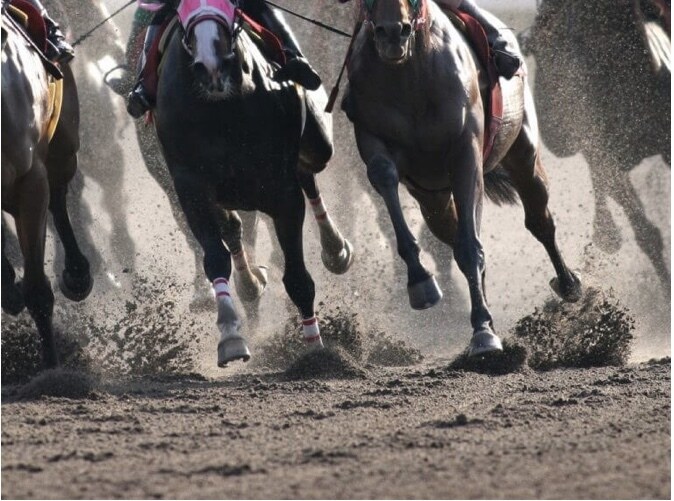 あなたの代わりにJRA競馬予想します 競馬予想は午年男に乗れ！JRA短距離戦を予想配信致します！ イメージ3