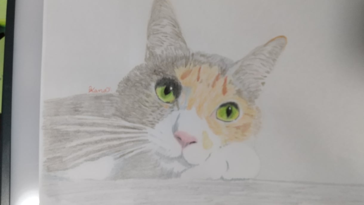 あなたのペットのイラストを色鉛筆で描きます 大切な家族、イラストにしませんか？ イメージ4