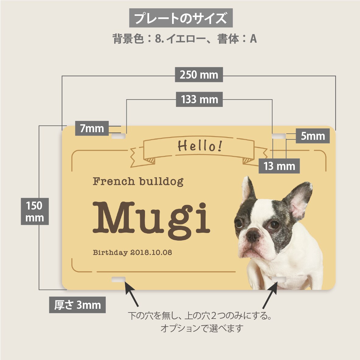 写真入りペットのカート用ネームプレートを作成します イベントが楽しくなる！デザイナーの高品質セミオーダー送料込 イメージ10