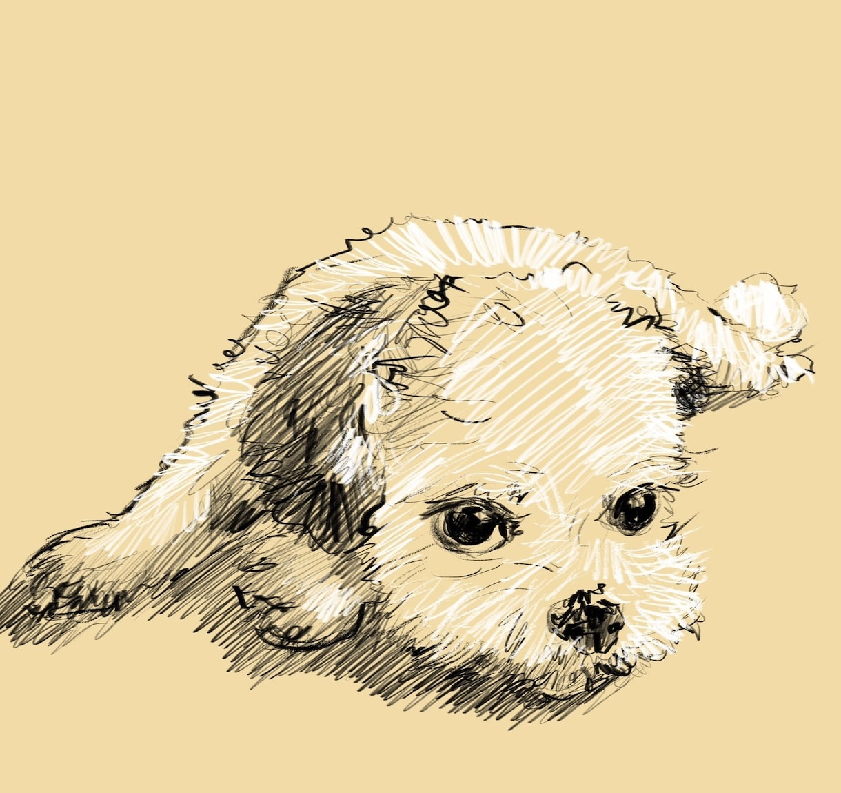 ペットのデータ画像をタブレット端末で手描きします ラフな鉛筆画風のスケッチに仕上げます。 イメージ6