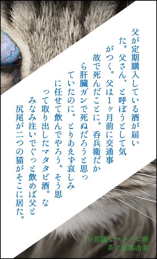 あなたの読みたい小説書きます BL、GL。一次から二次まで受け付けます。 イメージ1