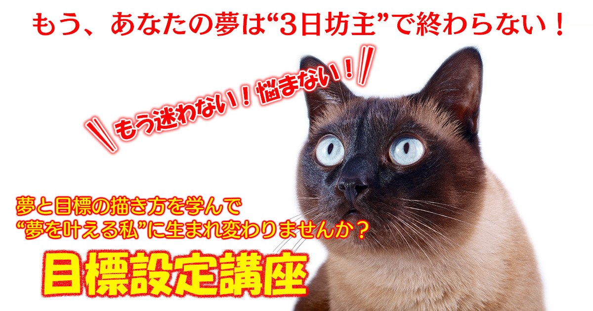 目標設定！理想の自分・夢を叶えるお手伝いをします 24年歴の元英語教師がお届けする超・現実的目標設定術 イメージ2