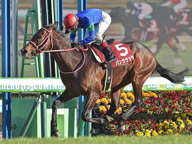 毎週の土日の中央競馬重賞レースの予想をします 競馬とは人と馬との心理を探って一体となる‼︎ イメージ1