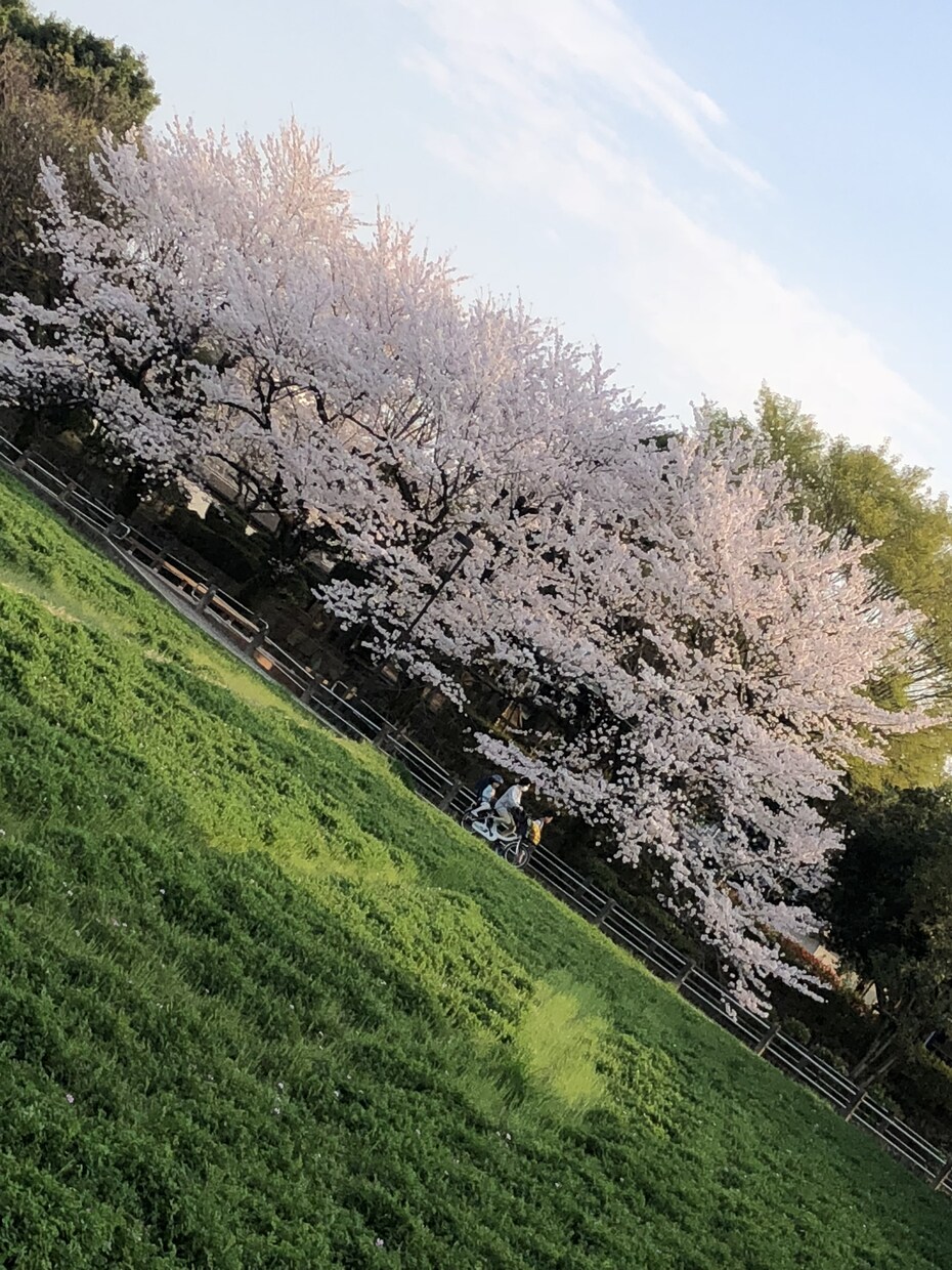 迷い、お悩み聞きます 人生には岐路があります。今進むべきか？立ち止まるべきか？ イメージ1