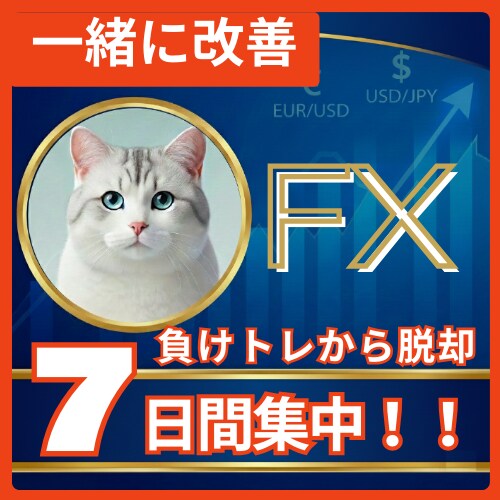 FX本気でガチ勝ち目指す人へトレードの土台作ります 元専業の私と勝ちたいあなたが”本気でトレードを見直す1週間” イメージ1