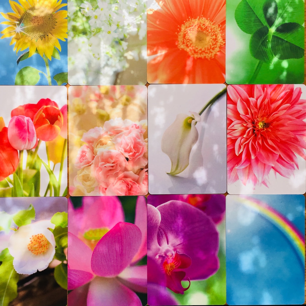 人生迷走中のあなたへ誕生花からのヒントお伝えします 生年月日から導かれたお花から心を元気にしてくれるメッセージ♡ イメージ2