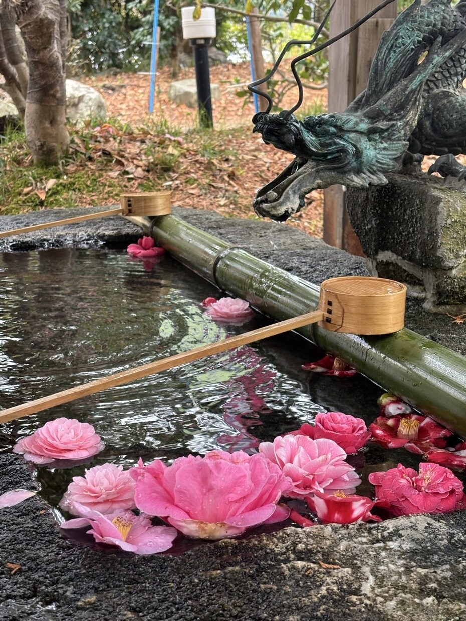 幸せな未来、占います お相手の気持ち、これからどうなるの？どうしたらいいの？ イメージ4