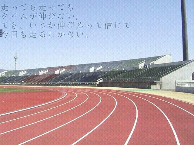 初心者の方への走り方や練習メニューを考えます 初心者で記録が伸び悩んでる方、楽しく記録を伸ばしましょう☆ イメージ4