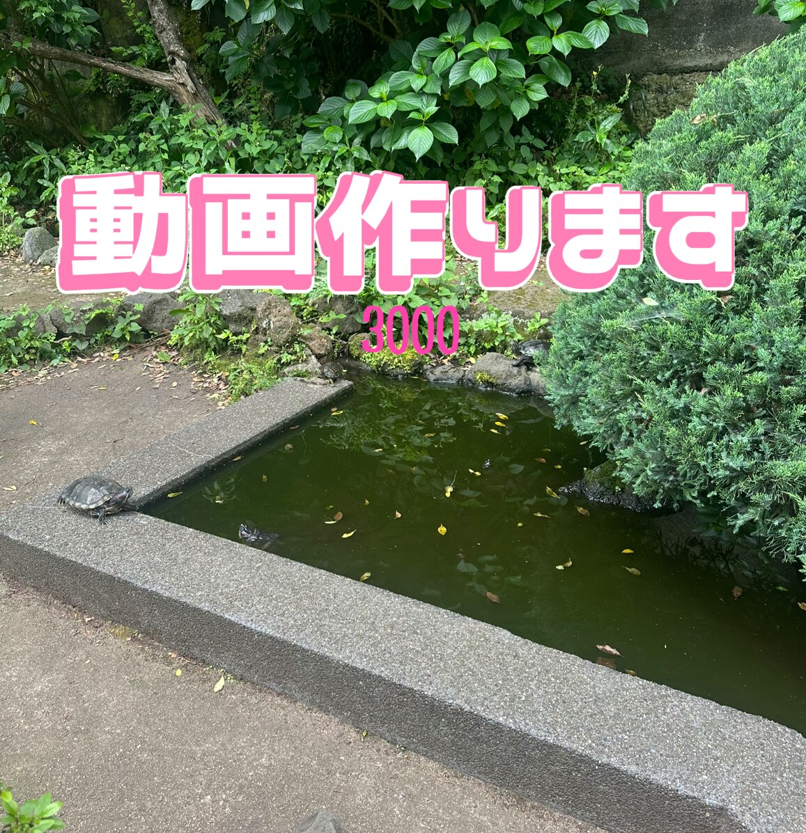 動画編集します TikTok、インスタ、YouTube動画編集します。 イメージ1