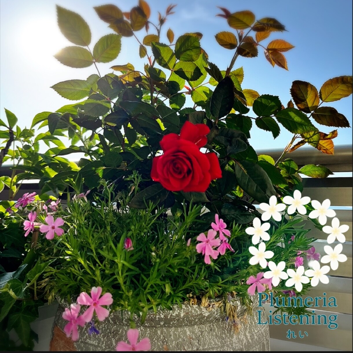 恋愛♡相談♡あなたの恋を応援して親身に寄り添います 元新地クラブ同伴数No.1が男女恋愛を秘密厳守で純粋傾聴 イメージ5