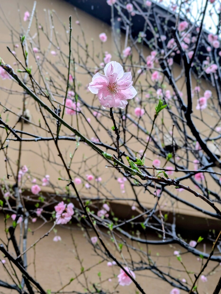 あなたの本質と未来を占います 誰にも言えない悩みここで話しませんか イメージ3