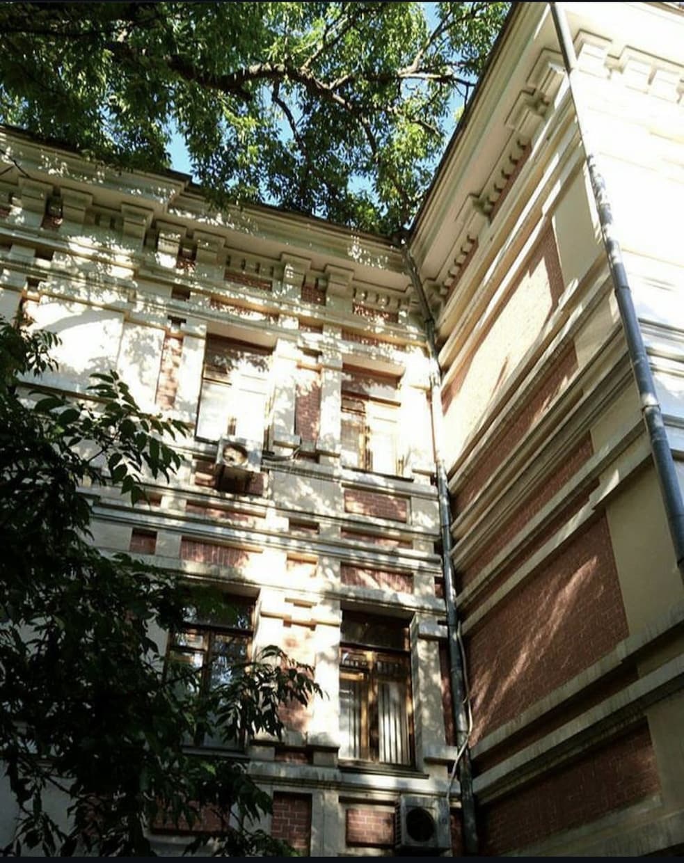 ロシア向け取材　オンライン調整リサーチ代行します 日本在住のロシア語ネイティブのコーディネーター イメージ2