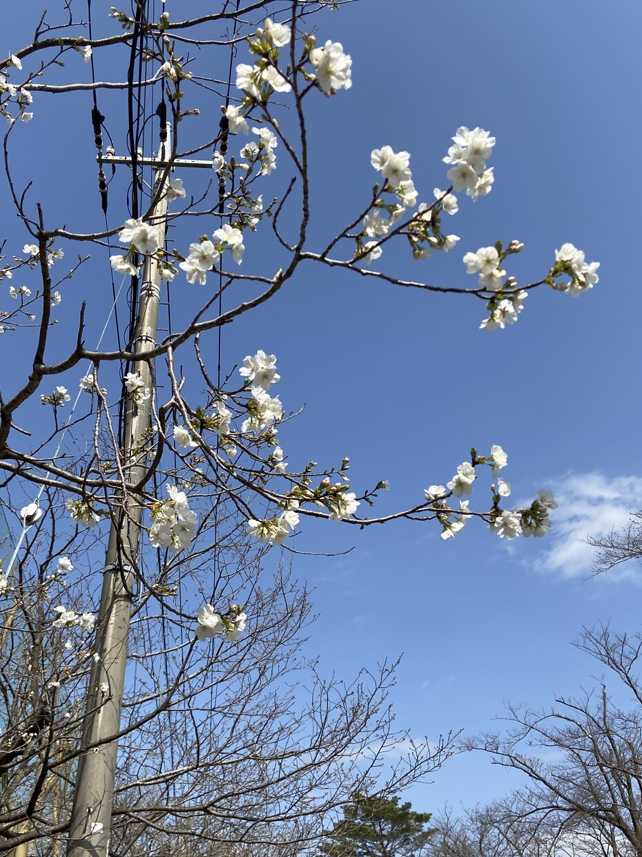 悩み相談愚痴 雑談相談恋愛等皆様のお話お聞きします 現役専門学生がお話をお聞きします！ イメージ1