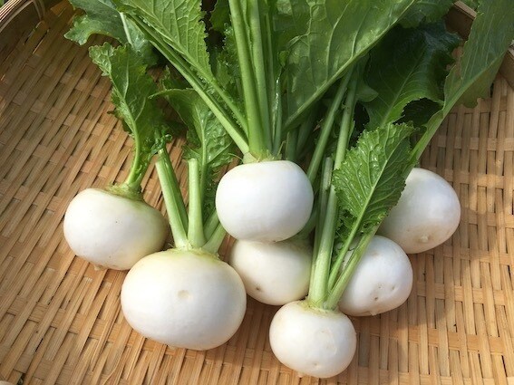 自然栽培・有機栽培による野菜の作り方を教えます 無農薬・無肥料又は有機肥料・固定種による野菜栽培を伝授 イメージ7
