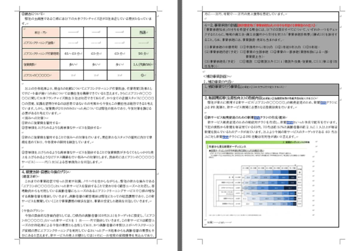ハウスクリーニング2★持続化補助金書類お譲りします 採択済みの事業計画書を【テンプレート】としても利用できます！ イメージ4