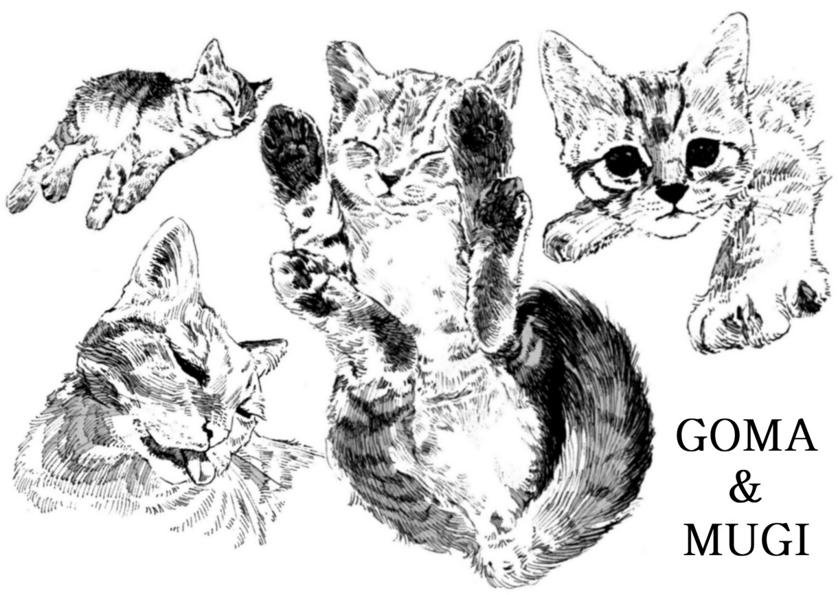 動物のおしゃれなイラスト描きます お写真・動画をもとに動きのあるイラストを作成します！ イメージ4