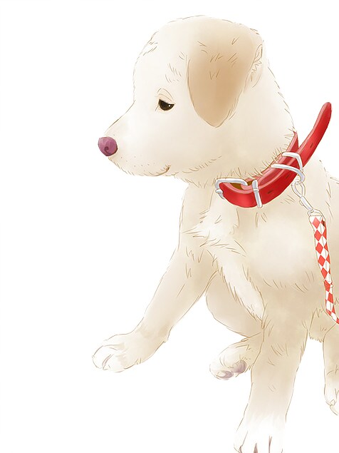 愛犬のリアルなイラスト描きます 愛犬のイラスト、思い出の1枚にいかがでしょうか？ イメージ3