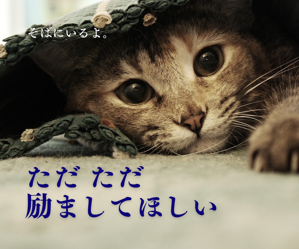 そばにいるよ♡ 話したいに 寄添います 心のホコリやチリを吐き出すことを日常に♡ イメージ5