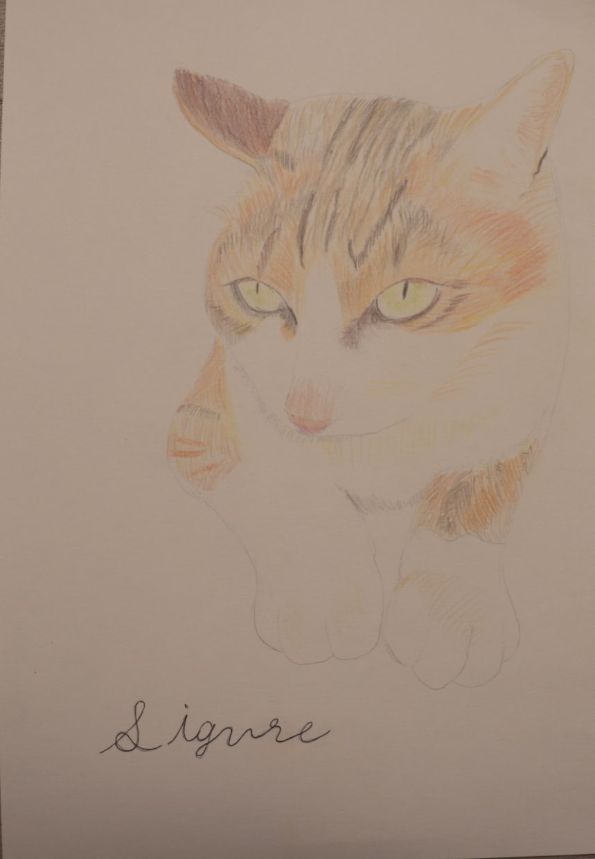 動物の似顔絵描きます シンプルで優しいペットの似顔絵描きます イメージ5