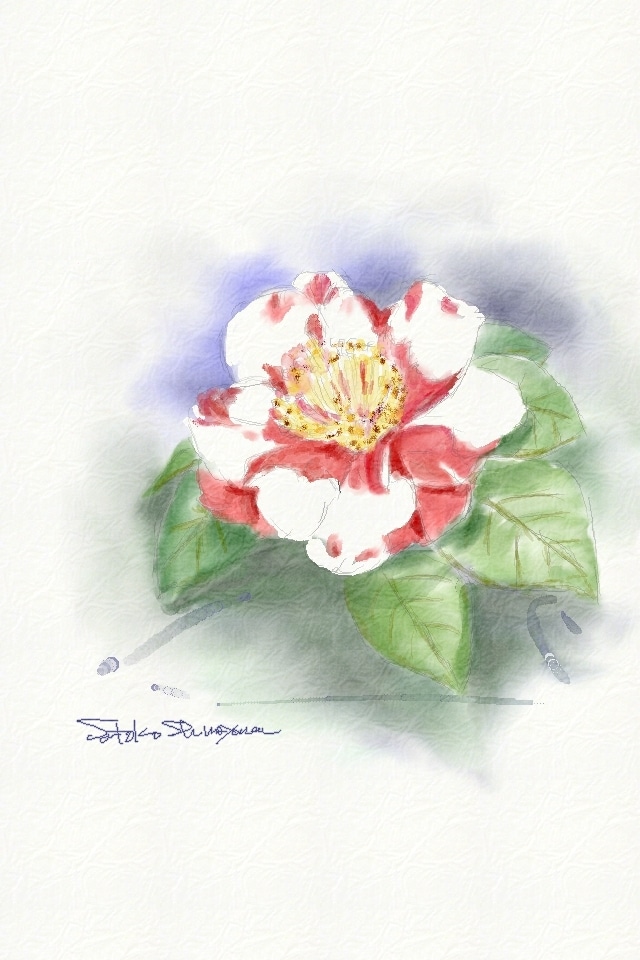 大好きなお花をデジタル水彩画で描きます 季節に合わせたお花を絵葉書にしてみませんか イメージ8