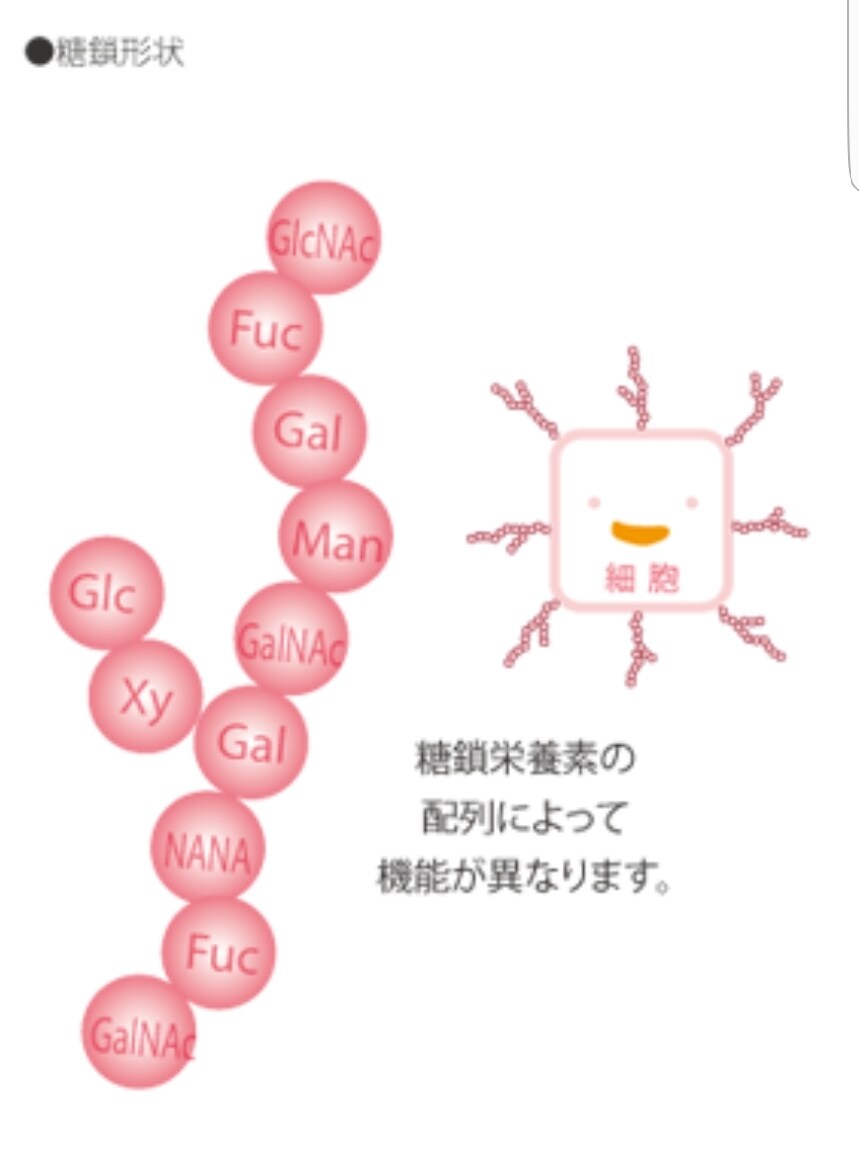お肌の弾力が甦り、若々しくなれます 年齢より年上に見られるあなたへ！ イメージ2
