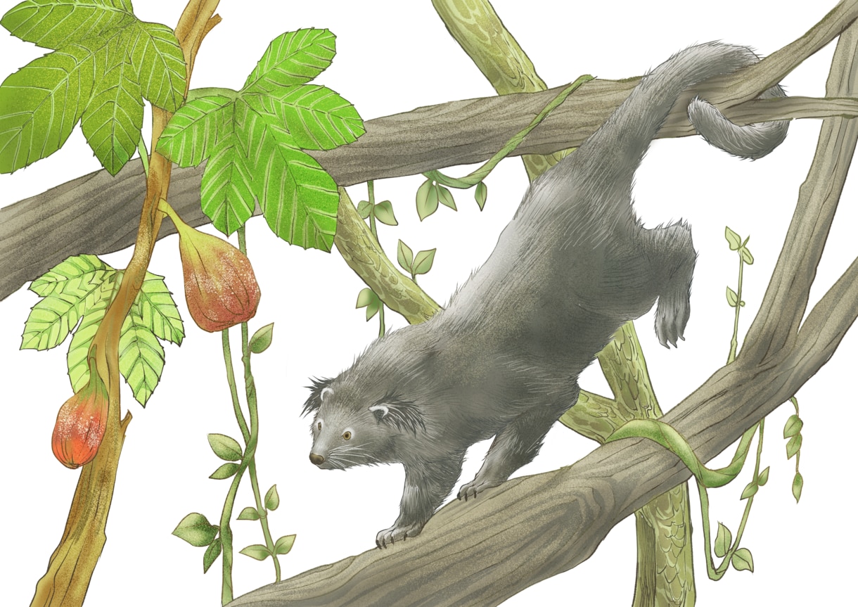 動物イラスト作成します リアルな精密画からデフォルメまで イメージ2