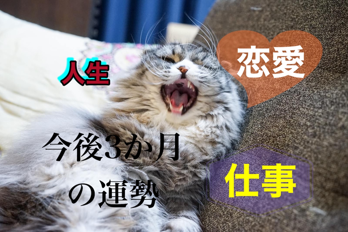 仕事恋愛人生3ヶ月の運勢をタロットで詳しく視ます 迷った時は少し先の未来を覗いてみませんか？ホロスコープ イメージ1