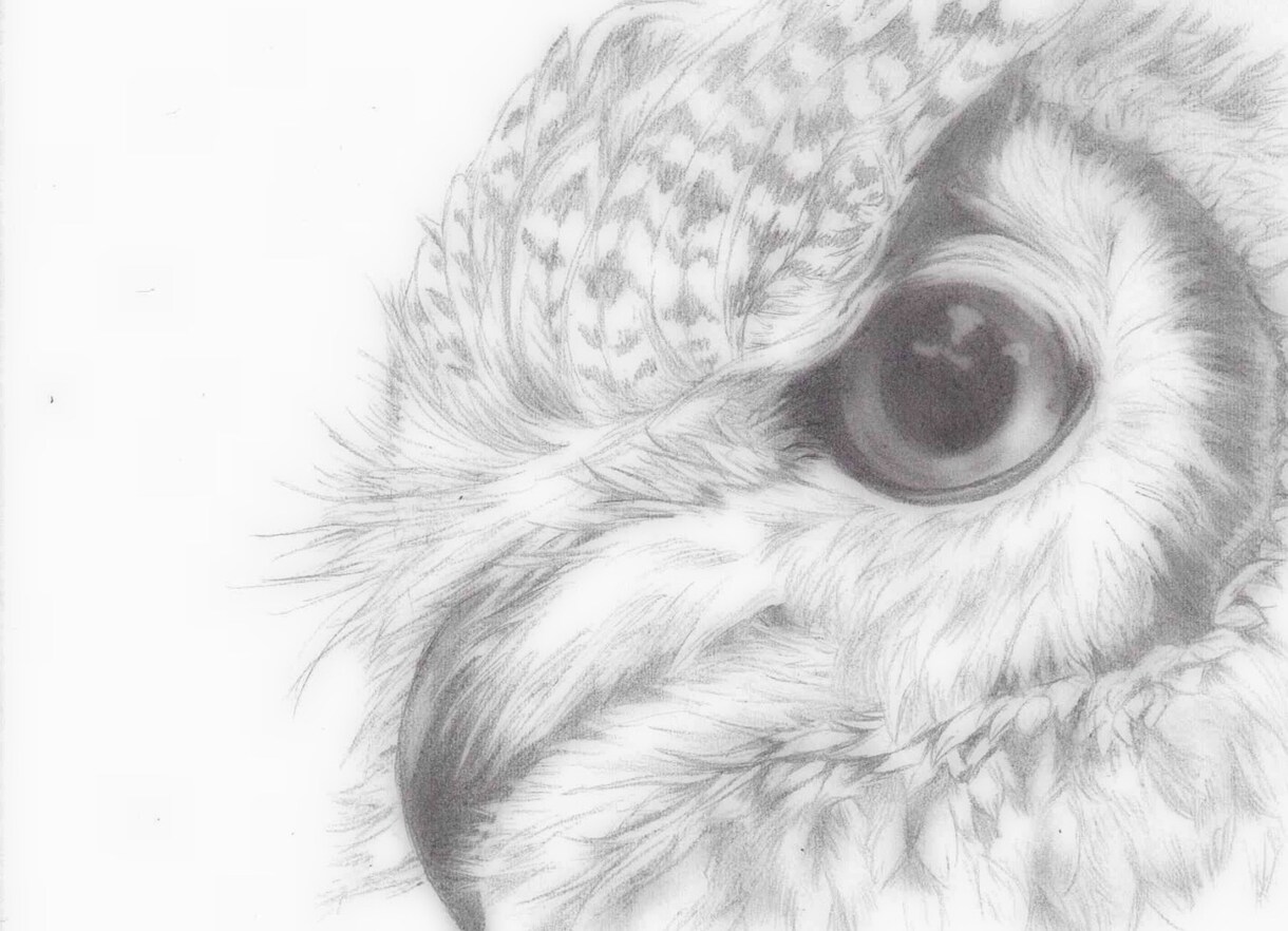 お写真をもとに鉛筆画をお描きします 大事なペットの愛すべきお顔を温かみある絵に イメージ6