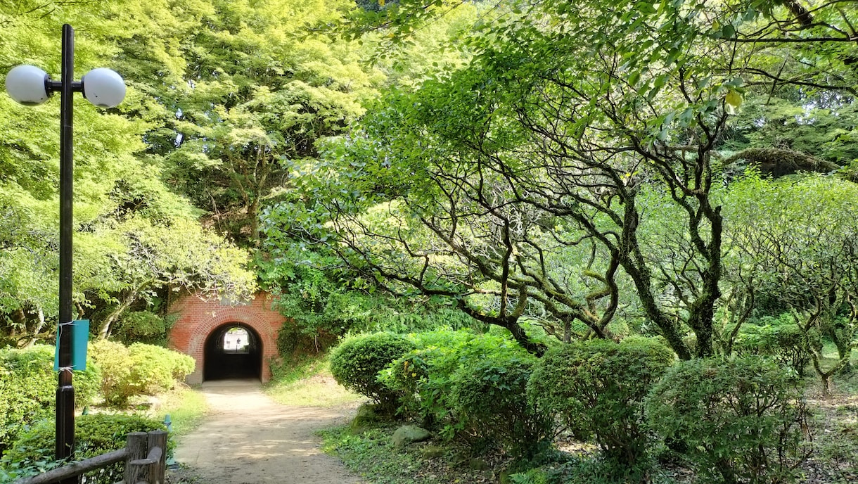写真の撮影代行、福岡の風景・名物撮影します 現役写真部部長が撮影！みなさんを旅行気分、癒しを提供！ イメージ2