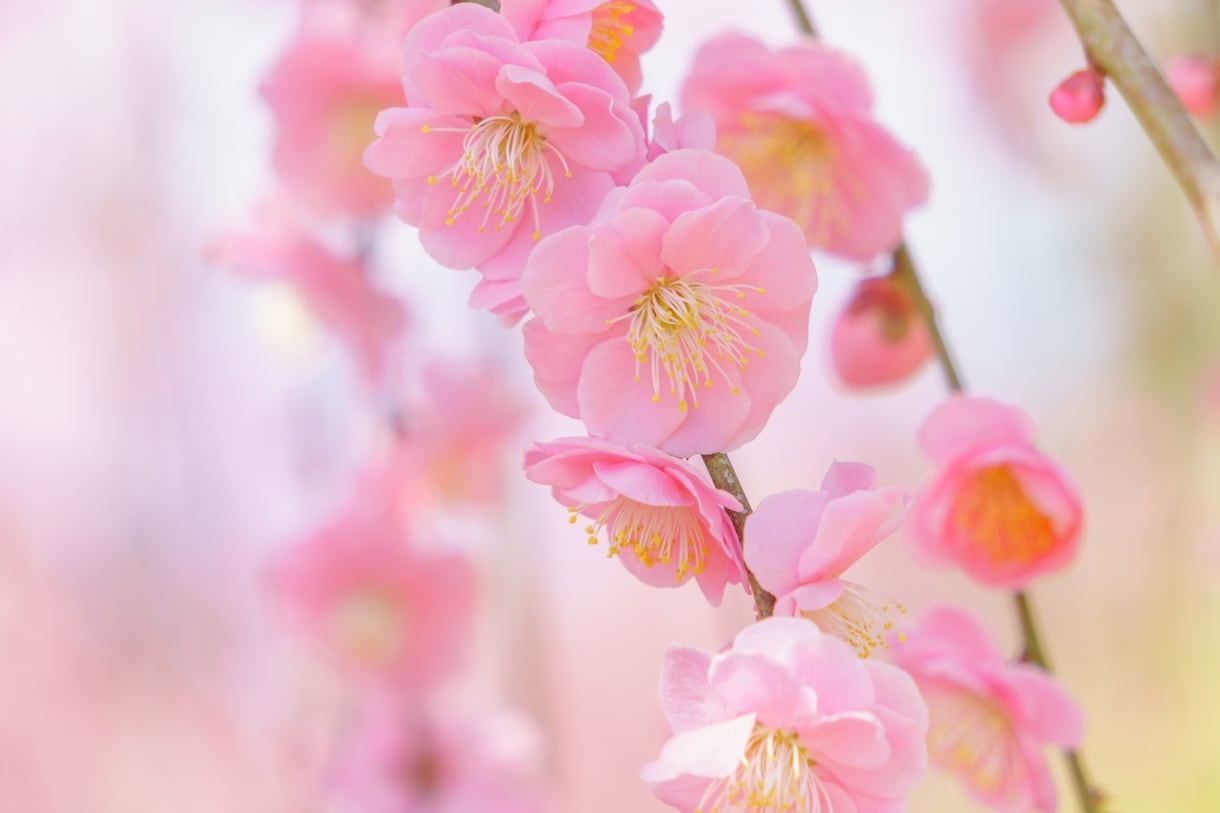 強迫性障害でつらい方＊30分しっかり寄り添います 強迫性障害でお悩みの方＊もうあなた一人じゃありませんよ✨ イメージ7