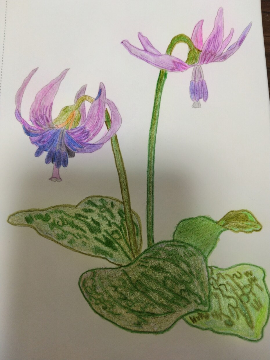 世界に1つだけの塗り絵あります アナログ塗り絵お手元にお届けいたします！ イメージ3