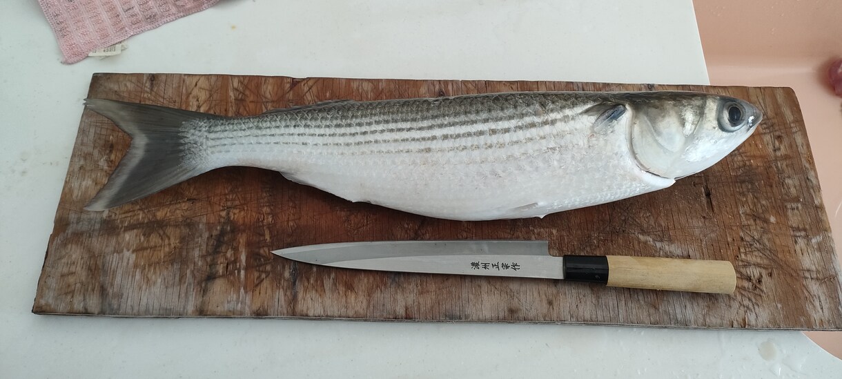 ボラ料理についてアドバイスします 秋から冬にかけてのボラを一度食べてみて下さい イメージ1
