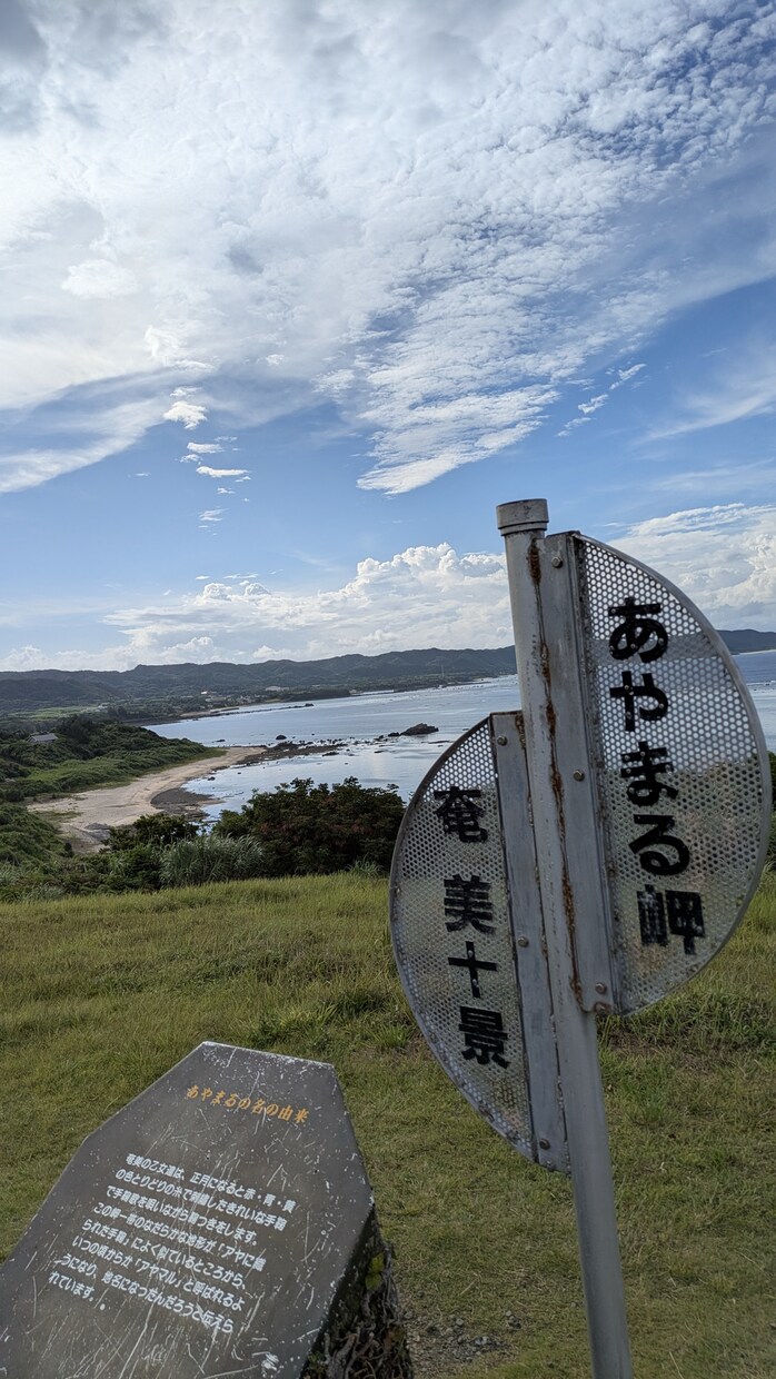 やりたい事、生き方、転職のお悩み相談のります HSS型HSP<自由に自分らしく楽しく生きる> イメージ3