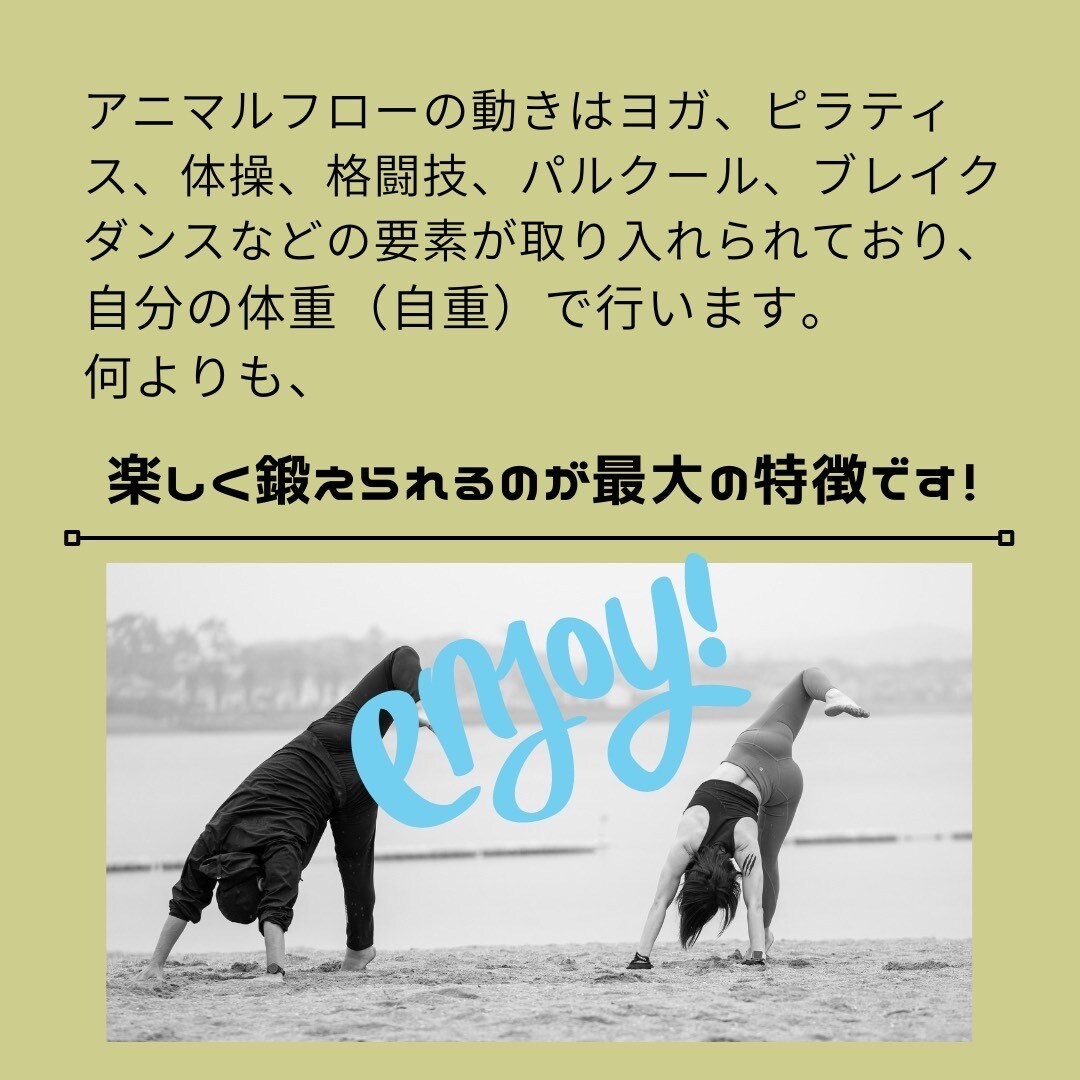 世界中で話題のアニマルフローを教えます 動ける身体、引き締まった身体を作るならアニマルフロー！！ イメージ3